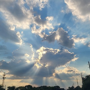 Team Page: TCJV Friends